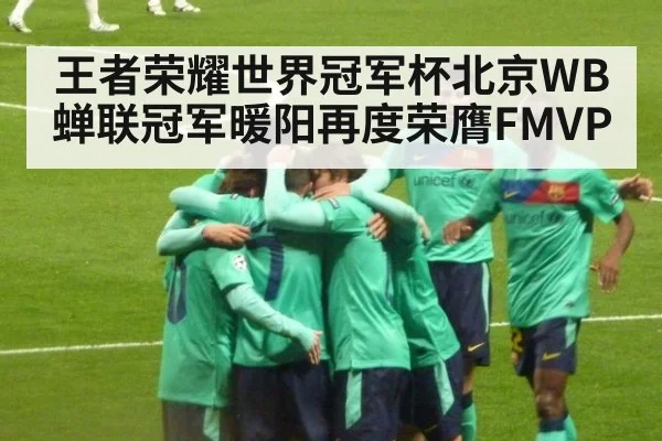 王者荣耀世界冠军杯北京WB蝉联冠军暖阳再度荣膺FMVP